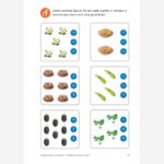 A História de Pedro Coelho