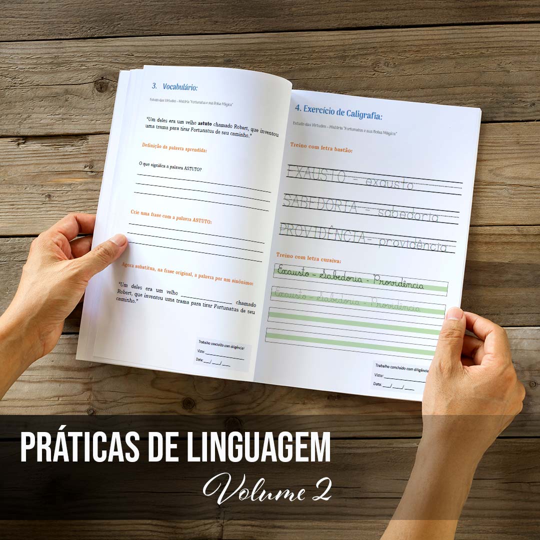 Práticas de Linguagem - Volume 2